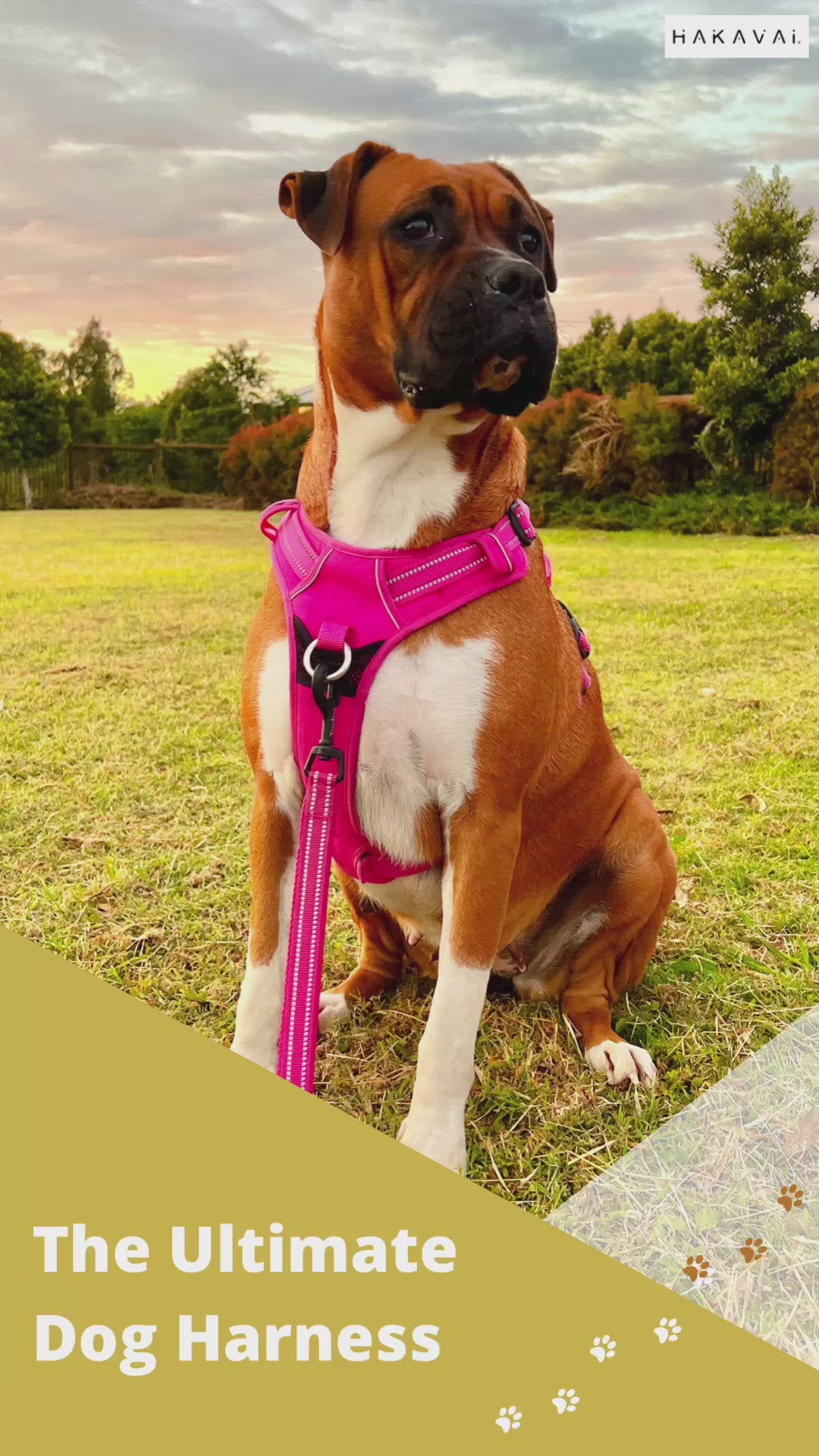 Truelove dog clearance harness instructions